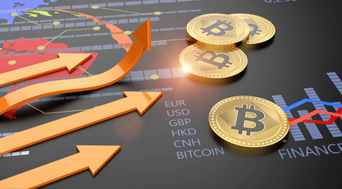 Snek y Bonk, memecoins de Cardano y Solana, muestran resultados increíbles