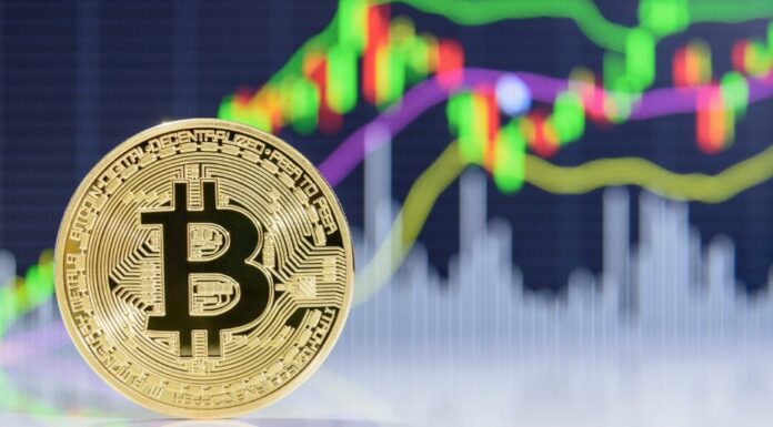 Esta semana en monedas: Bitcoin cae, la manía de los ordinales continúa, Solana se desacelera