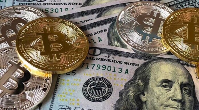 El analista de ETF de Bloomberg explica por qué la comunidad criptográfica no debería odiar a Vanguard y predecir su desaparición
