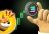 BONK no se detendrá: Solana Meme Coin establece otro máximo histórico