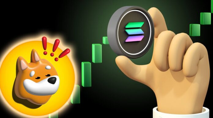 BONK no se detendrá: Solana Meme Coin establece otro máximo histórico