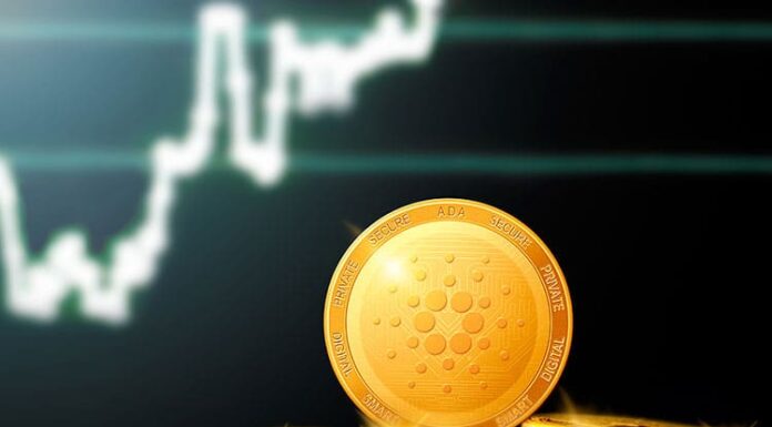 Cardano (ADA): sólo el 35% de los titulares obtienen beneficios