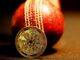 Las grandes transacciones de Cardano alcanzan nuevos máximos, lo que indica un creciente interés por parte de ballenas e instituciones