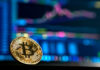 Los inversores institucionales tendrán un interés más activo en las criptomonedas en 2024