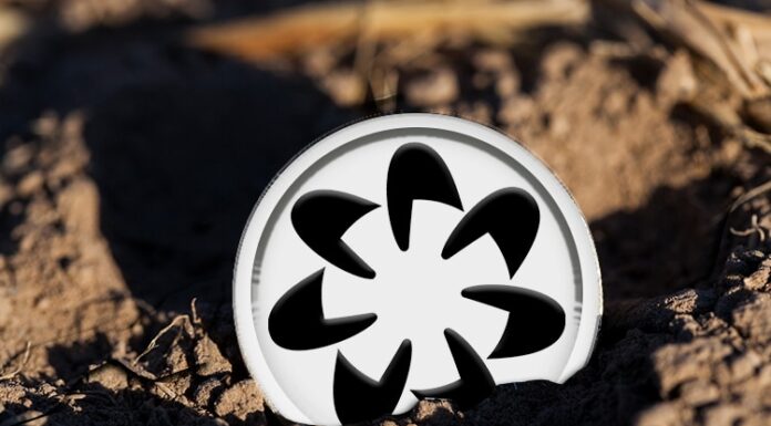 Worldcoin asume que es posible falsificar iris en los datos del proyecto