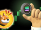 Descubra las criptomonedas alternativas que eclipsarán la apreciación de Bonk