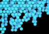 Cofundador de Solana: Blockchain no necesita capas 2 como Ethereum