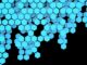 Cofundador de Solana: Blockchain no necesita capas 2 como Ethereum