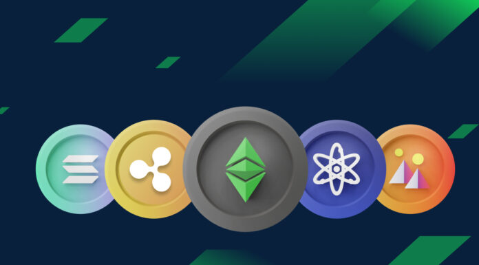 Crypto Expert comparte la guía definitiva de cartera de criptomonedas para llegar a 2024