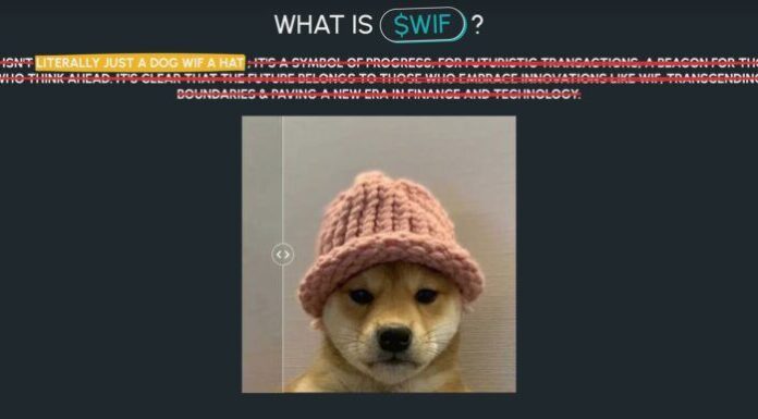 El indicador técnico clave señala un posible aumento del token Dogwifhat ($WIF) inspirado en memes