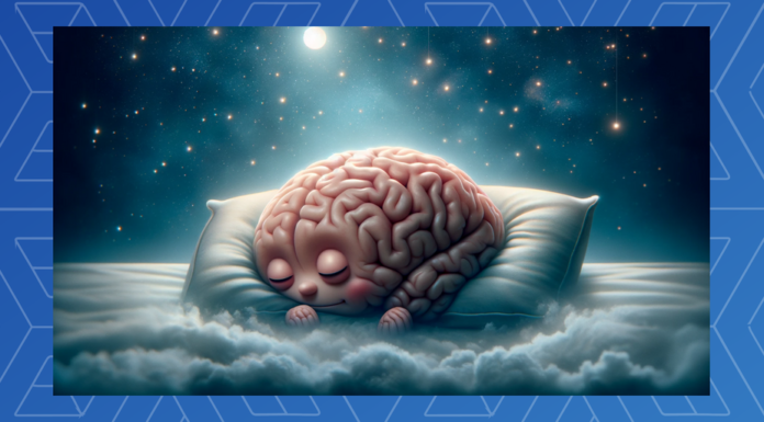 Las siestas energéticas pueden evitar que el cerebro se encoja, según un estudio