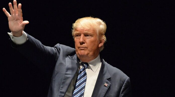 Esta semana en Crypto Twitter: el apoyo a Trump aumenta tras el tiroteo, Degens ignora las caídas de Bitcoin en Alemania