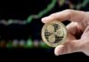 Crypto Exchange predice retornos 1000x sobre el precio de XRP con un ambicioso aumento a $ 594