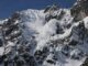 Las ambiciones de Avalanche para 2024: la respuesta de Kevin Sekniqi a la hoja de ruta de Vitalik para Ethereum