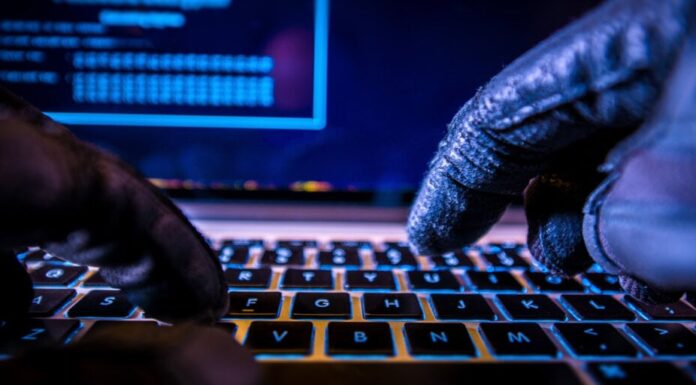 El token Gamee de Animoca Brands se hunde un 60% tras su explotación