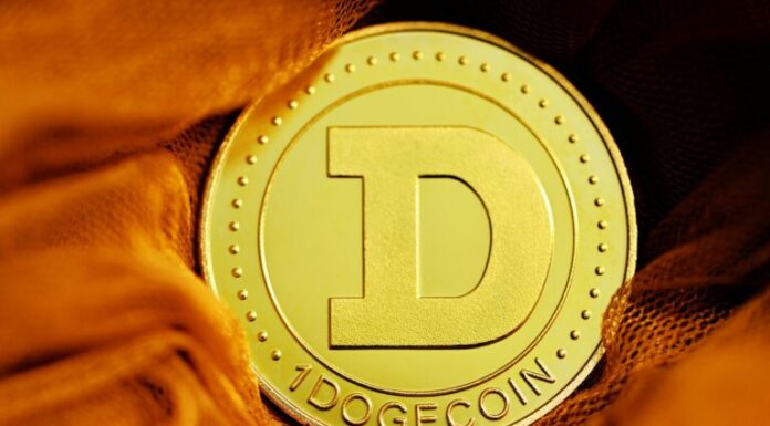Dogecoin: criptoanalista ve un 'fondo generacional' para DOGE a medida que cae el precio