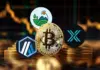 Bitcoin se retrae a 42.000 dólares; Whales acumula 3 Altcoins que se prevé que se dispararán un 200% en el próximo rally