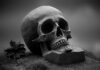 Más del 50% de todas las criptomonedas ya han muerto, revela un estudio