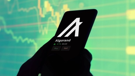 Algorand (ALGO) sorprende en el cuarto trimestre: la capitalización de mercado se dispara, el TVL se duplica y la base de usuarios se dispara