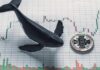 Las posiciones largas de Bitcoin aumentan en Bitfinex: las ballenas agregan 4230 BTC, lo que indica una posible reversión del precio