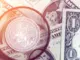 Actividad de ballenas detectada en Shiba Inu (SHIB), Pushd (PUSHD) y Stellar (XLM): ¿qué pasa?
