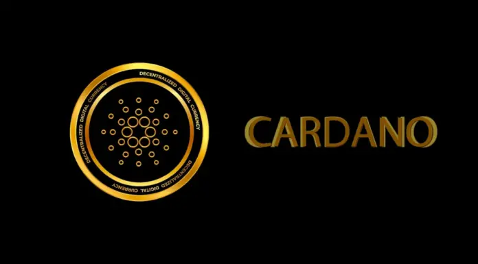 Las capacidades de Pushd (PUSHD) hacen que 20x parezca probable para los inversores de XRP y ADA que ingresan temprano