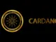 Las capacidades de Pushd (PUSHD) hacen que 20x parezca probable para los inversores de XRP y ADA que ingresan temprano