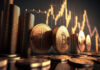 Los poseedores de Bitcoin se mueven a lo grande: el número de carteras de ballenas alcanza el mayor número en 15 meses