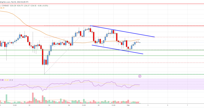 Análisis de Bitcoin Cash: las caídas podrían soportarse cerca de $ 230