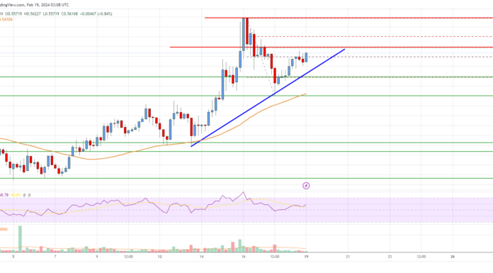 Análisis de precios de XRP: los alcistas apuntan a un nuevo aumento a $ 0,65