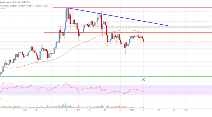Análisis de precios de XRP: ¿Pueden los alcistas proteger este soporte?