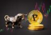 Los toros de Bitcoin a la carga: la plataforma criptográfica pronostica un aumento de $63,000 para marzo