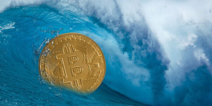 Bitcoin-Surfer-shutterstock_1260811651-gID_7.jpg