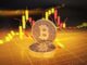 Un economista de renombre dice que Bitcoin no es oro digital, entonces, ¿qué es?