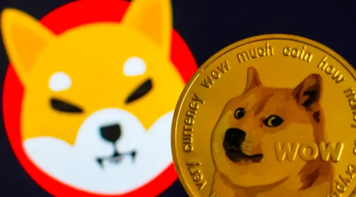 Gane un 20 % adicional en Scorpion Casino utilizando el código de bono, además de las últimas noticias sobre Shiba Inu y Dogecoin