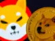 Gane un 20 % adicional en Scorpion Casino utilizando el código de bono, además de las últimas noticias sobre Shiba Inu y Dogecoin