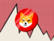 ¿El precio de SHIB se multiplicará por 10 como en 2021? Aquí están las posibilidades para Shiba Inu
