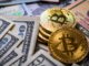 Los ETF de Bitcoin logran la semana más grande de la historia, agregando $ 3.1 mil millones a medida que BTC se acerca a los $ 100 mil
