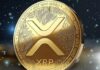 Empresa de inversión obligada a vender XRP por valor de 2,5 millones de dólares: este es el motivo