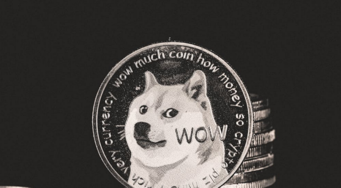 Dogecoin se hunde un 5% después de que Elon Musk fuera llamado nuevamente para una investigación en Twitter
