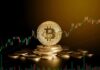 Bitcoin registra el mayor máximo diario de 2024 y supera los 56.000 dólares estadounidenses