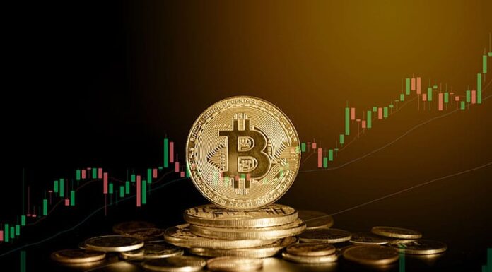 Bitcoin registra el mayor máximo diario de 2024 y supera los 56.000 dólares estadounidenses