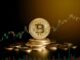 Bitcoin registra el mayor máximo diario de 2024 y supera los 56.000 dólares estadounidenses