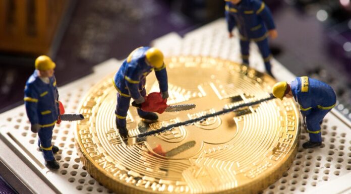 Escala de grises: Bitcoin se reducirá a la mitad en 2024 como «diferente» a medida que los ETF y los ordinales remodelen la estructura del mercado