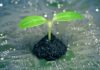 El token 'Marketing for Good' de Cleo Tech se lanza en MEXC