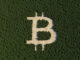 El precio de Bitcoin se dispara: un analista fija el precio objetivo para 2025 en 200.000 dólares