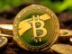 La criptomoneda favorita de los brasileños saltó un 85% en la última semana