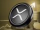 ¿XRP ha bajado un 60% desde julio? Entender