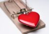 Las estafas cripto-romance de 'carnicería de cerdos' aumentaron 85 veces desde 2020