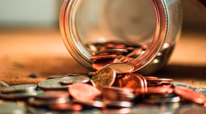 COCO: Usuario recauda US$7 millones en 24 horas en preventa de memecoin